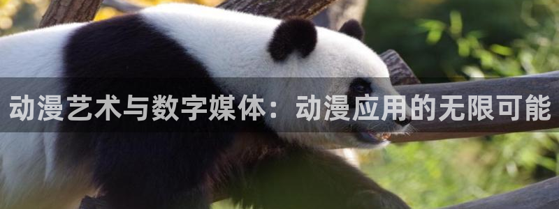 国产伦理动漫