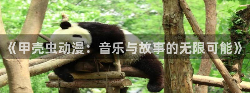 伦理动漫电影在线观看